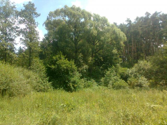 11-blata002-2010_07_14