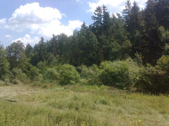 11-blata008-2010_07_14