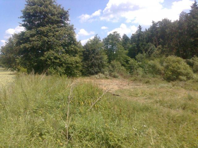 11-blata009-2010_07_14