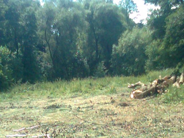 11-blata014-2010_07_14