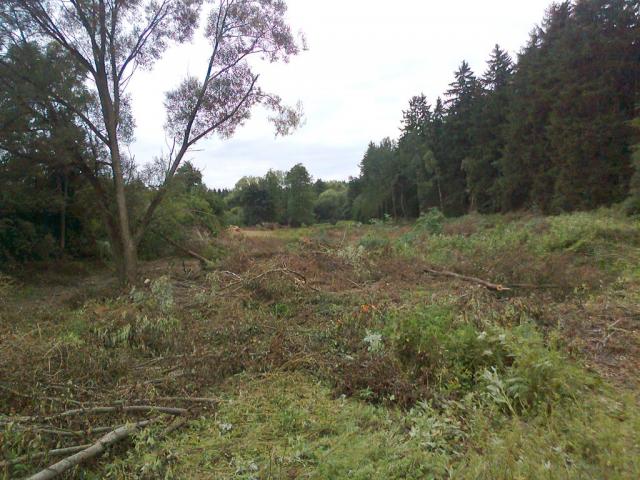 11-blata015-2010_07_19