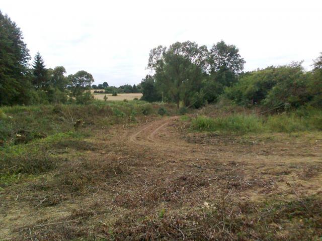 11-blata025-2010_07_19