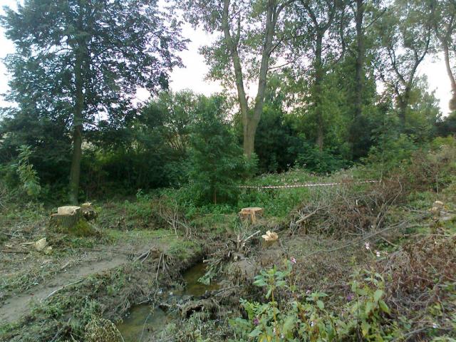 11-blata028-2010_07_26