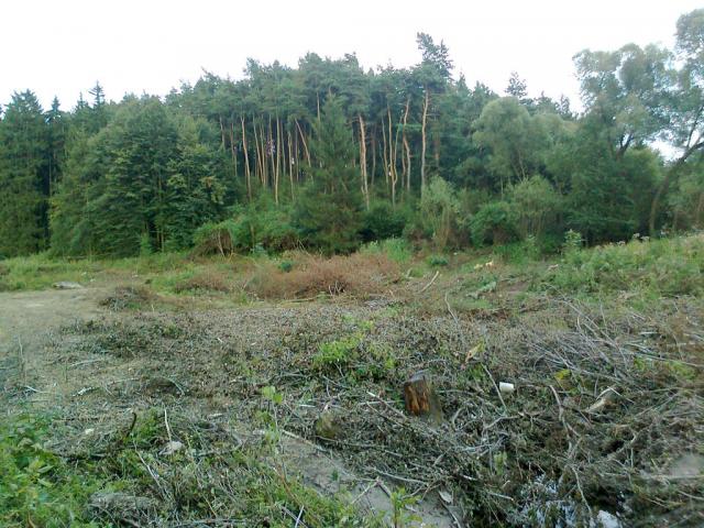 11-blata031-2010_07_26