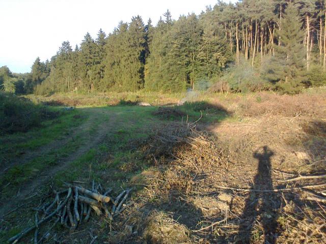 11-blata050-2010_08_04