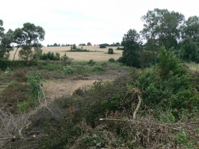 11-blata066-2010_07_25