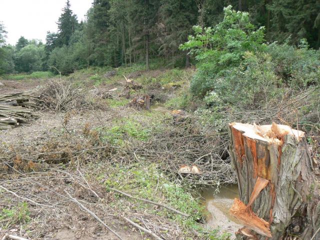 11-blata080-2010_07_25