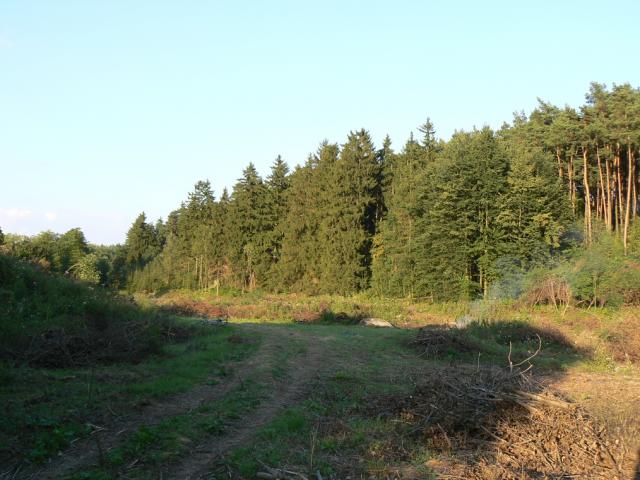 11-blata114-2010_08_04