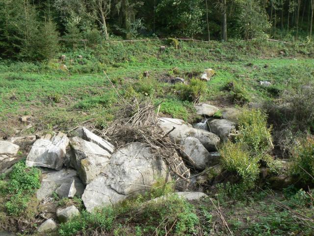 11-blata147-2010_08_25