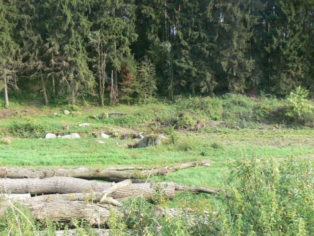 11-blata150-2010_08_25