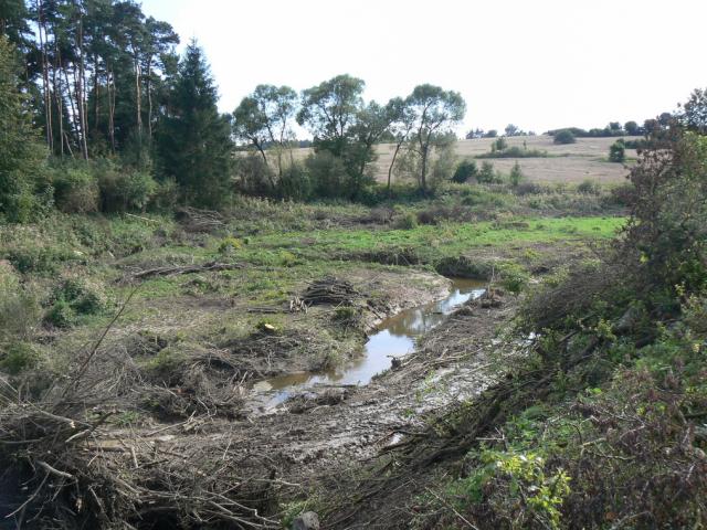 11-blata154-2010_08_25