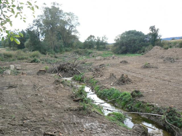 11-blata194-2010_09_19