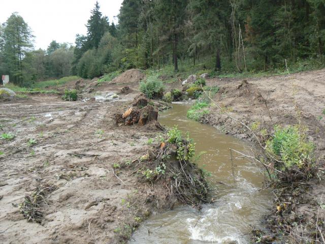 11-blata223-2010_09_26