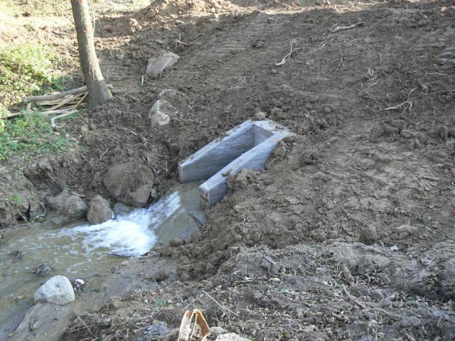 11-blata250-2010_10_21