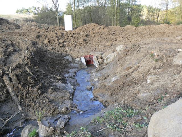 11-blata253-2010_10_21