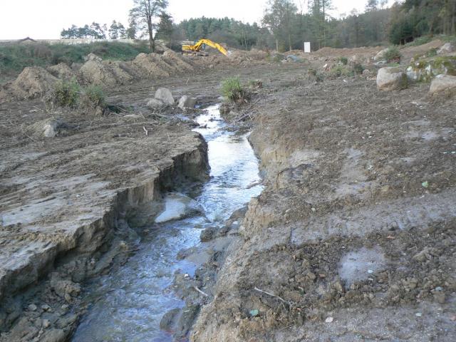 11-blata256-2010_10_21