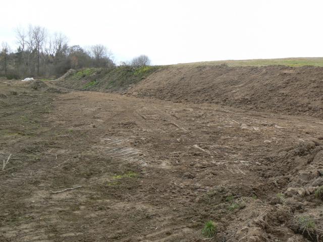 11-blata284-2010_11_06