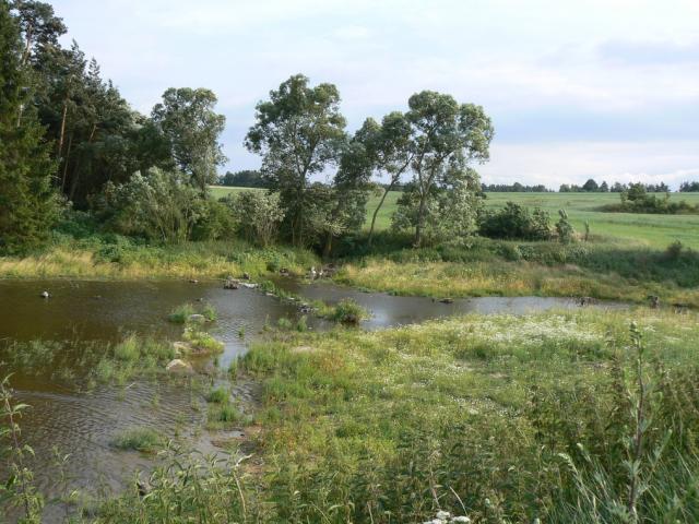 11-blata337-2011_06_30