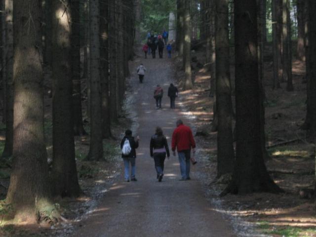 13-kultura-marenka0509