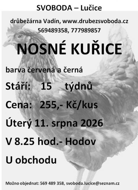 Kuřice.jpg